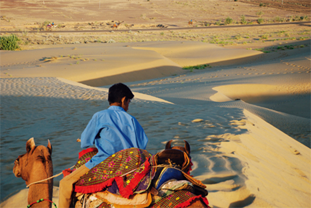 Caring for the Thar